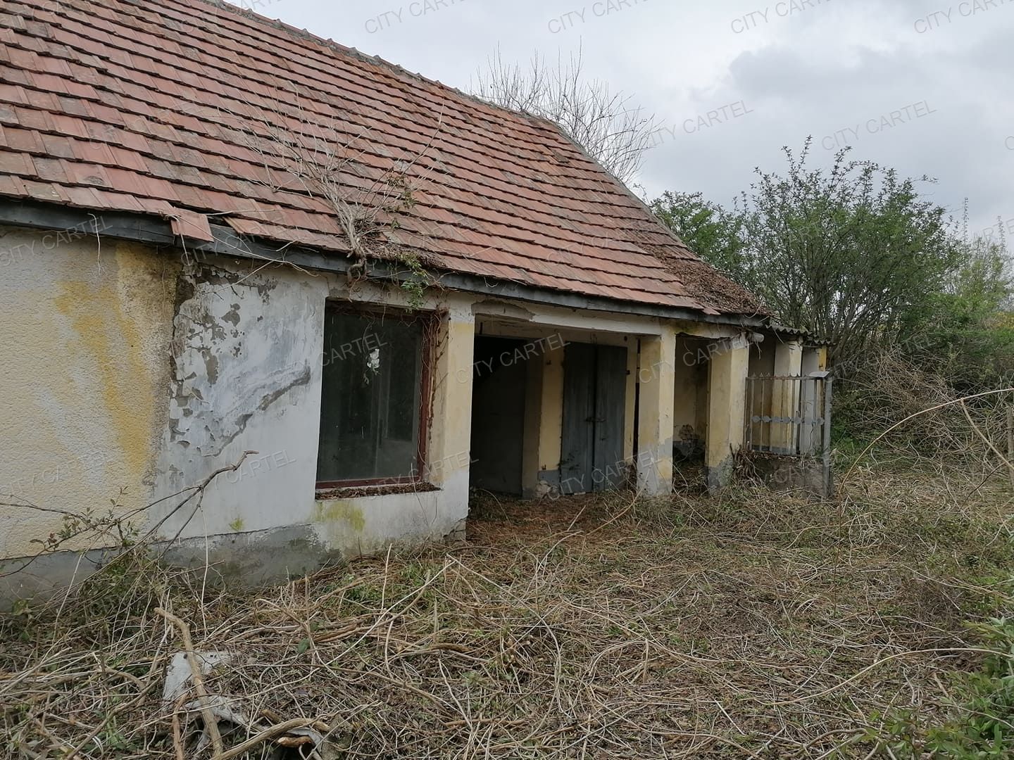 Sükösd Eladó  Családi ház  Sükösd Eladó  Családi ház Bács-Kiskun megye 