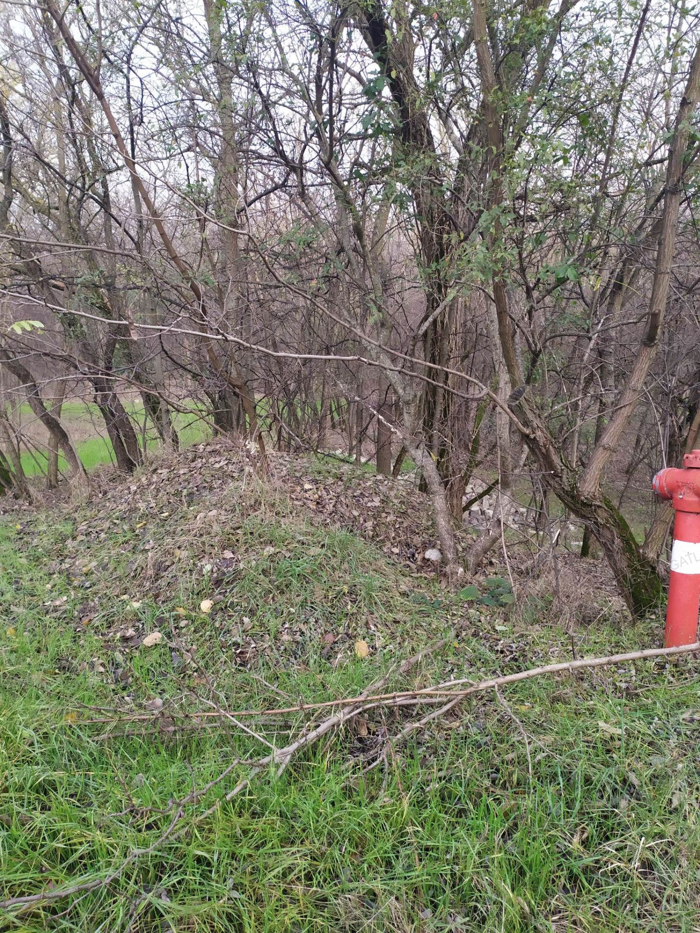 Dabas Eladó  Lakás  Dabas Eladó  Lakás Pest megye 
