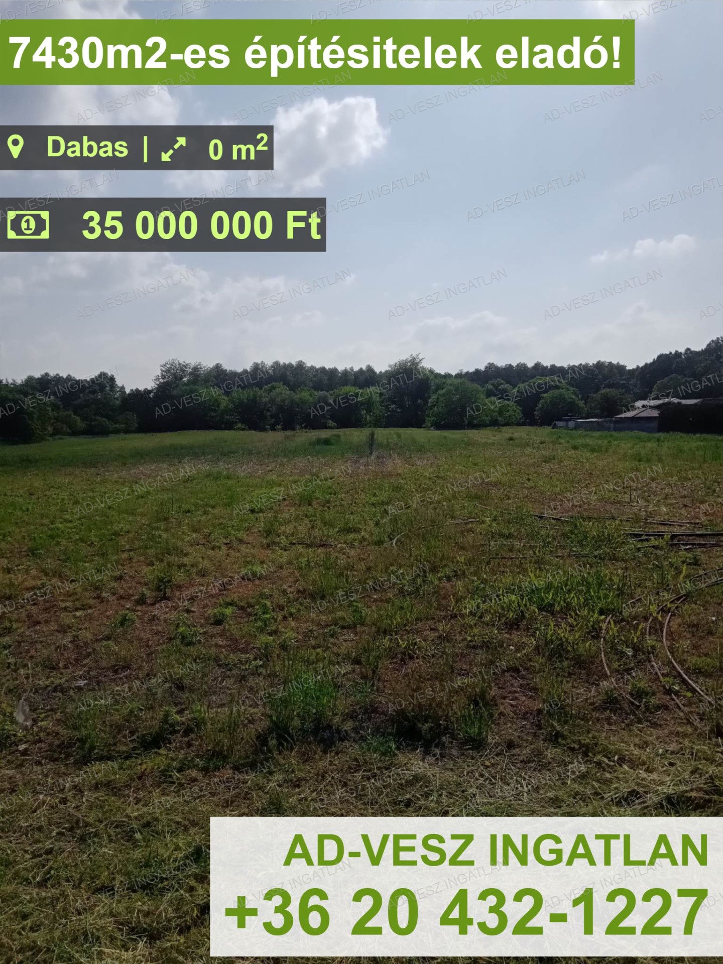 Dabas Eladó  Lakás  Dabas Eladó  Lakás Pest megye 