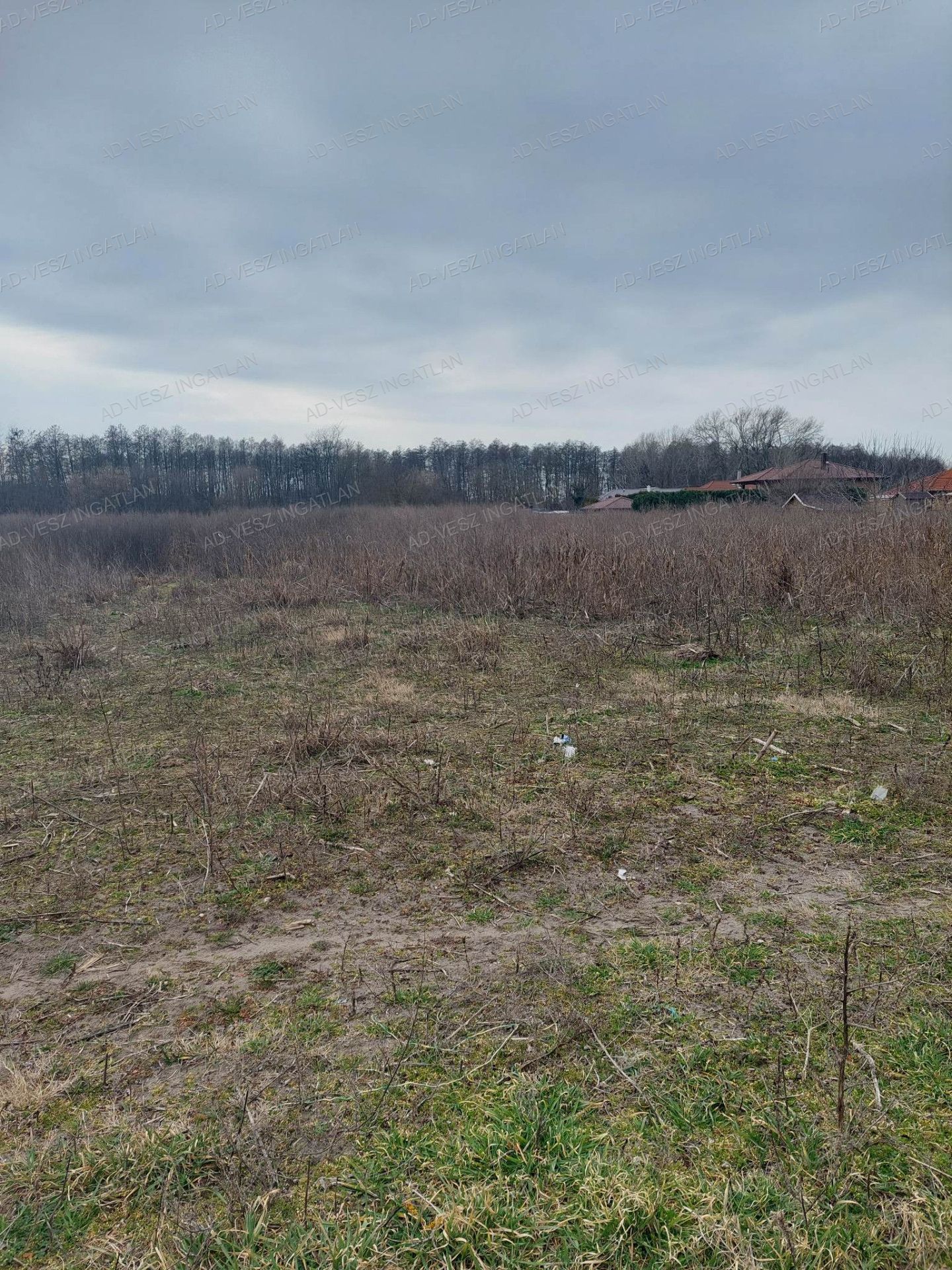 Dabas Eladó  Lakás  Dabas Eladó  Lakás Pest megye 