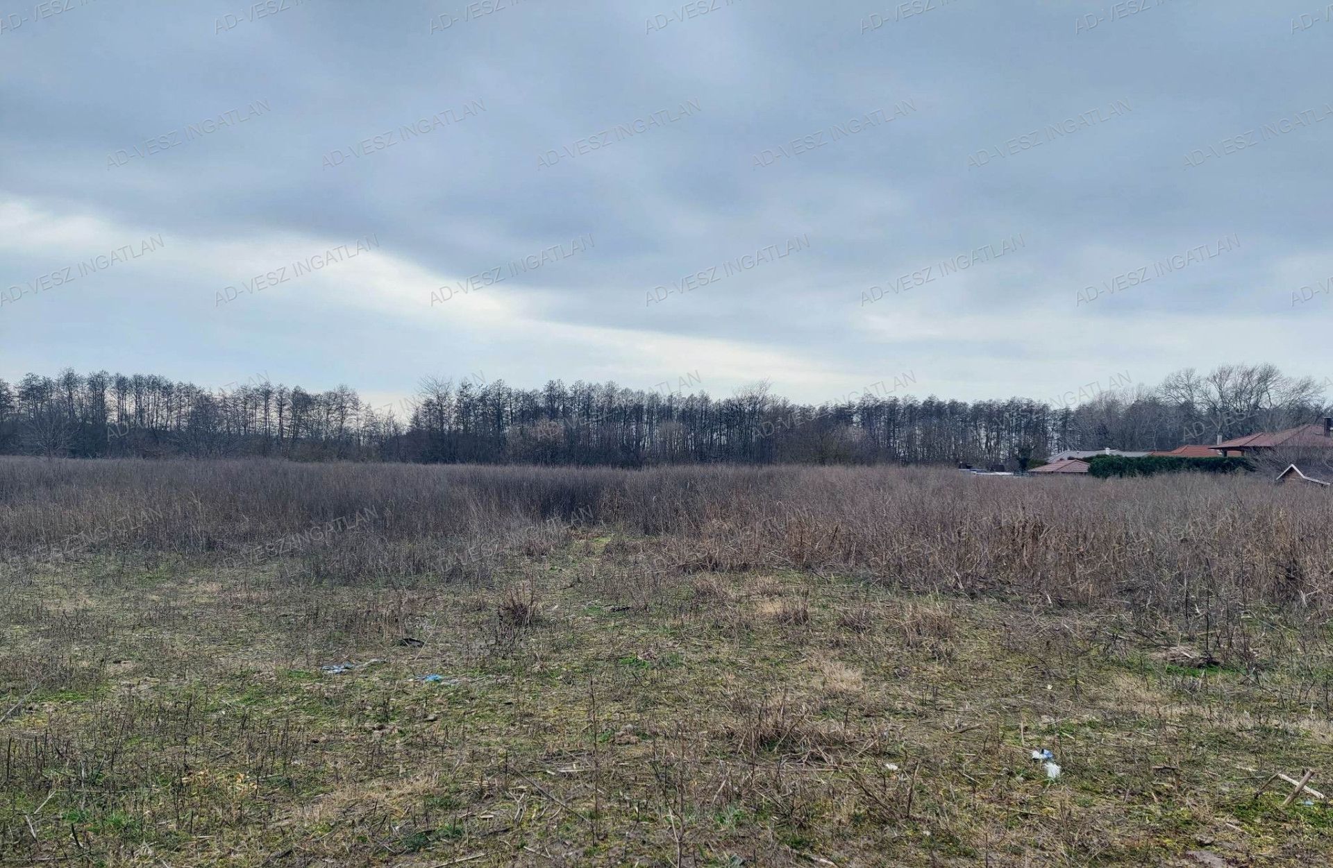 Dabas Eladó  Lakás  Dabas Eladó  Lakás Pest megye 