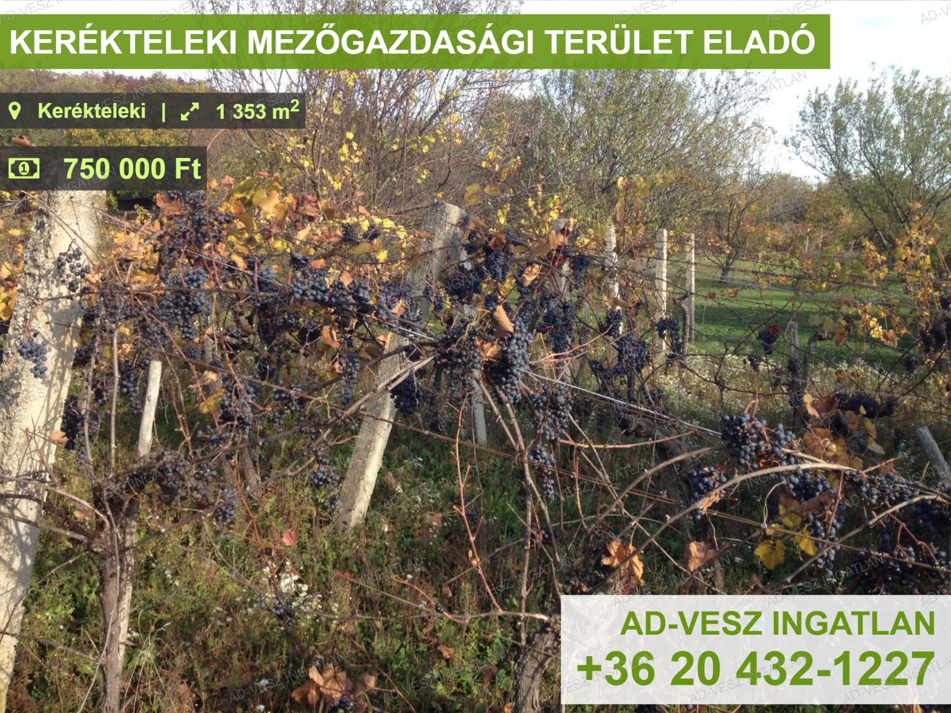 Taksony Eladó  Telek/földterület  Taksony Eladó  Telek/földterület Pest megye 