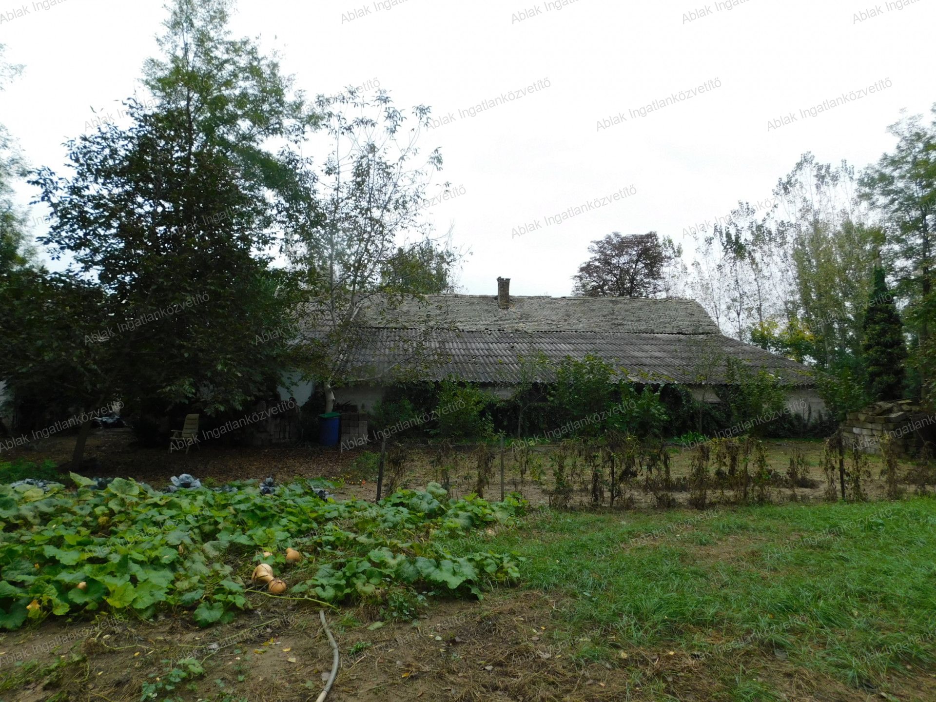 Kecskemét Eladó  Családi ház  Kecskemét Eladó  Családi ház Bács-Kiskun megye 