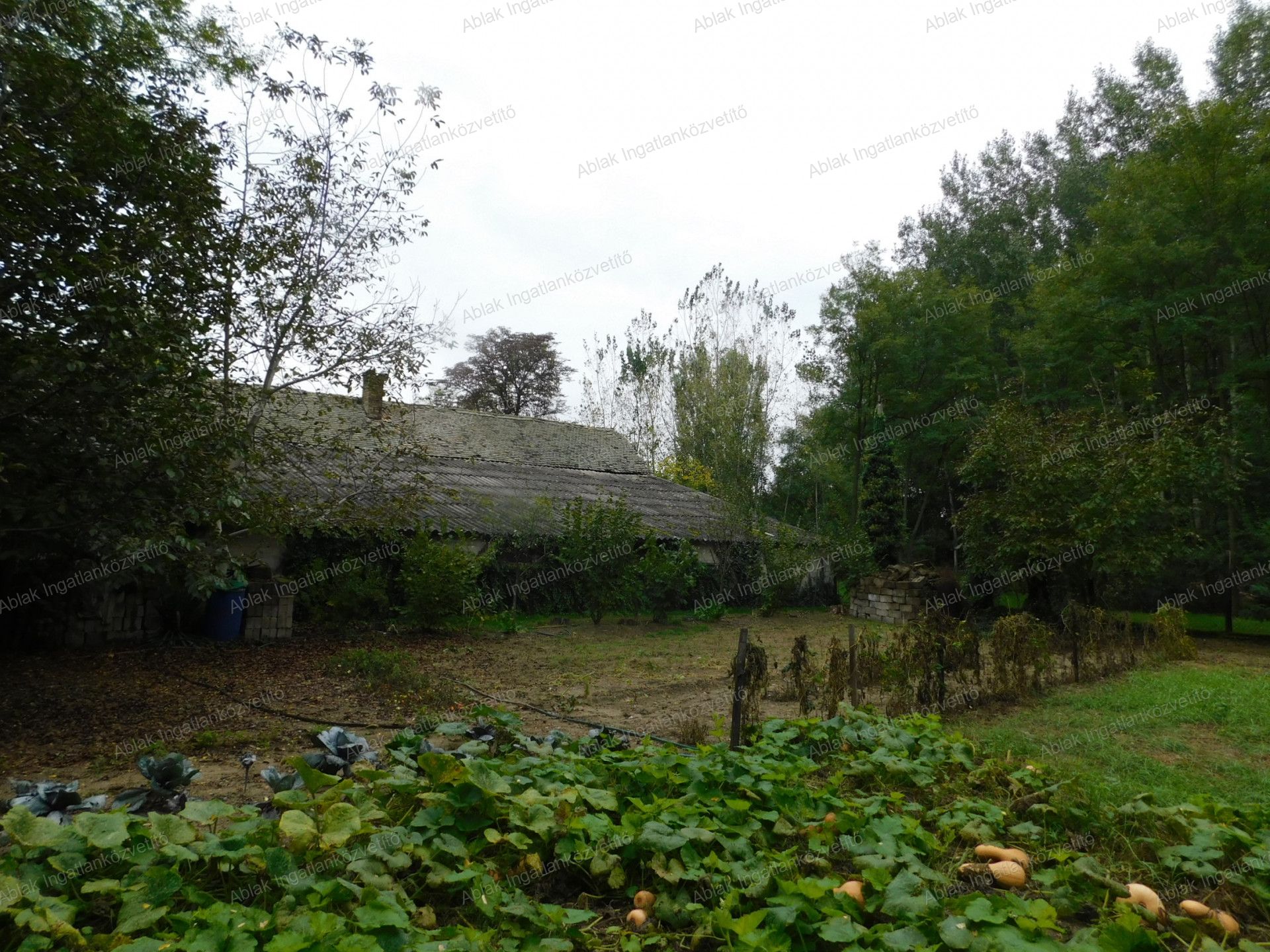 Kecskemét Eladó  Családi ház  Kecskemét Eladó  Családi ház Bács-Kiskun megye 