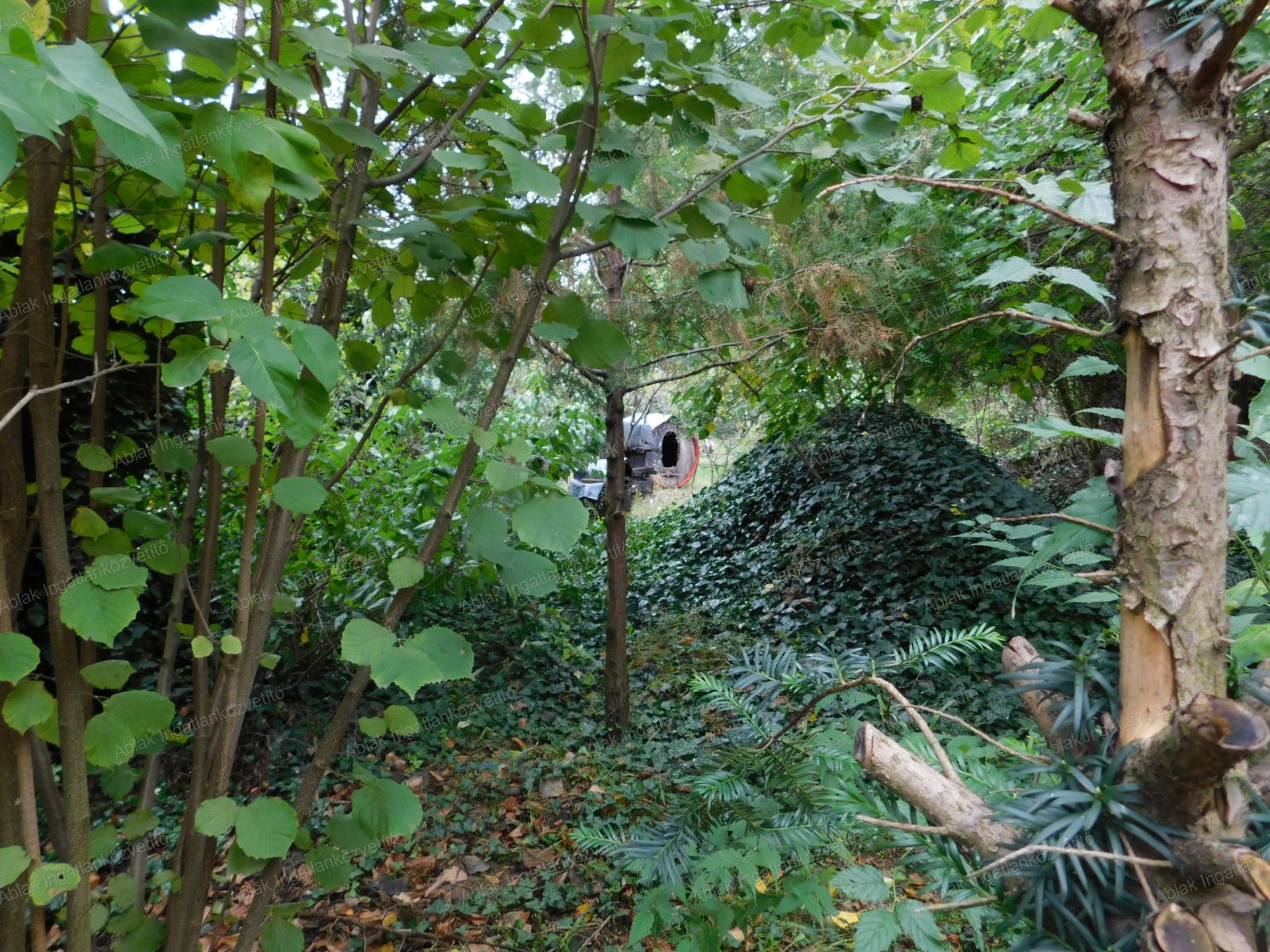 Kecskemét Eladó  Családi ház  Kecskemét Eladó  Családi ház Bács-Kiskun megye 