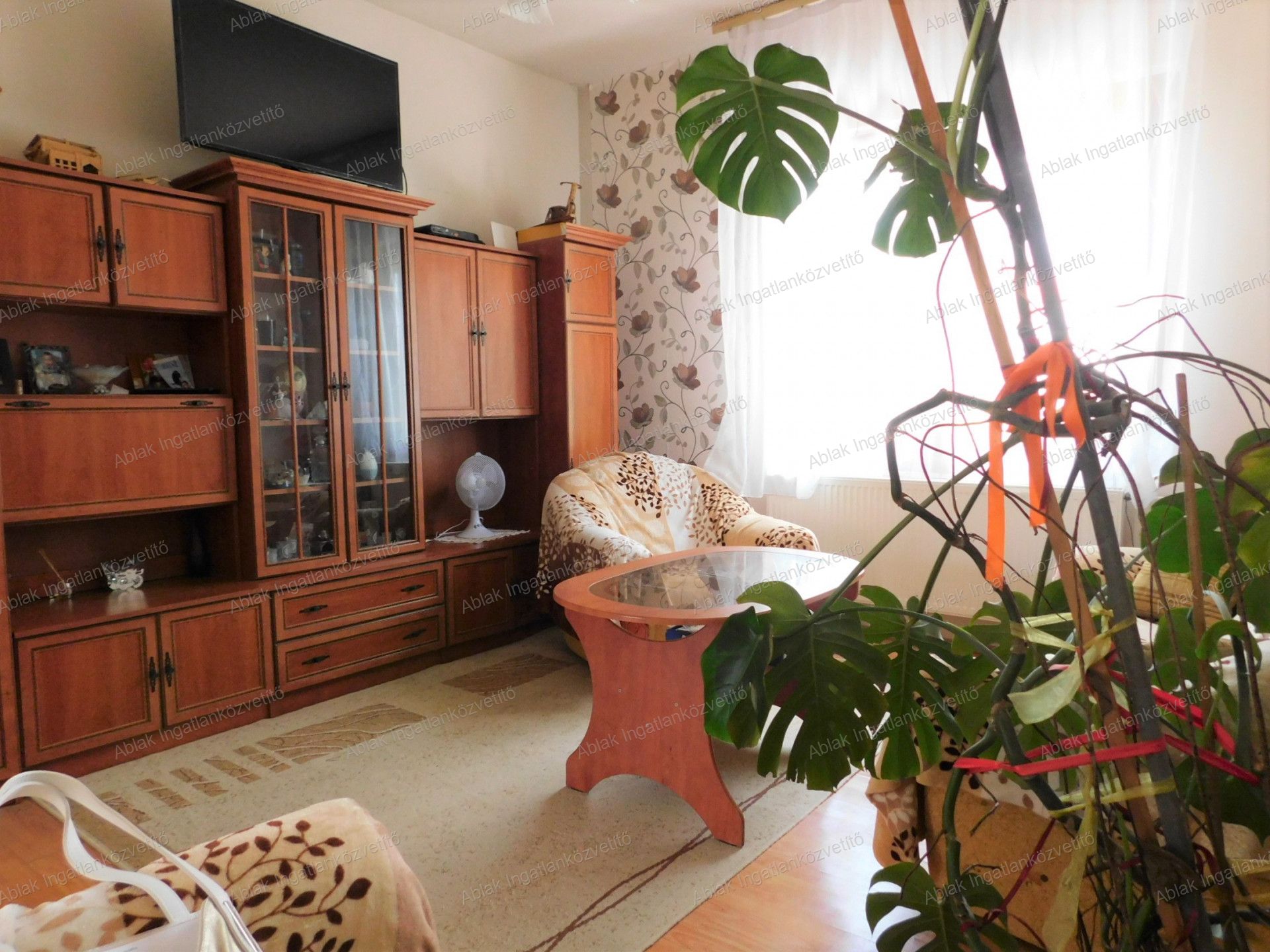 Kecskemét Eladó  Családi ház  Kecskemét Eladó  Családi ház Bács-Kiskun megye 