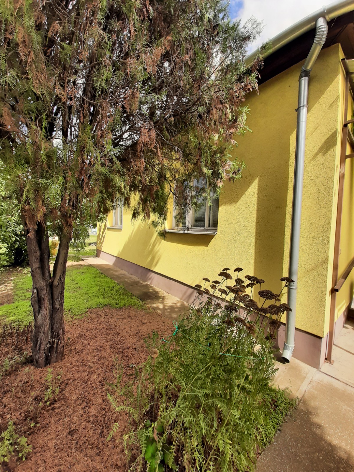 Szolnok Eladó  Lakás  Szolnok Eladó  Lakás Jász-Nagykun-Szolnok megye 