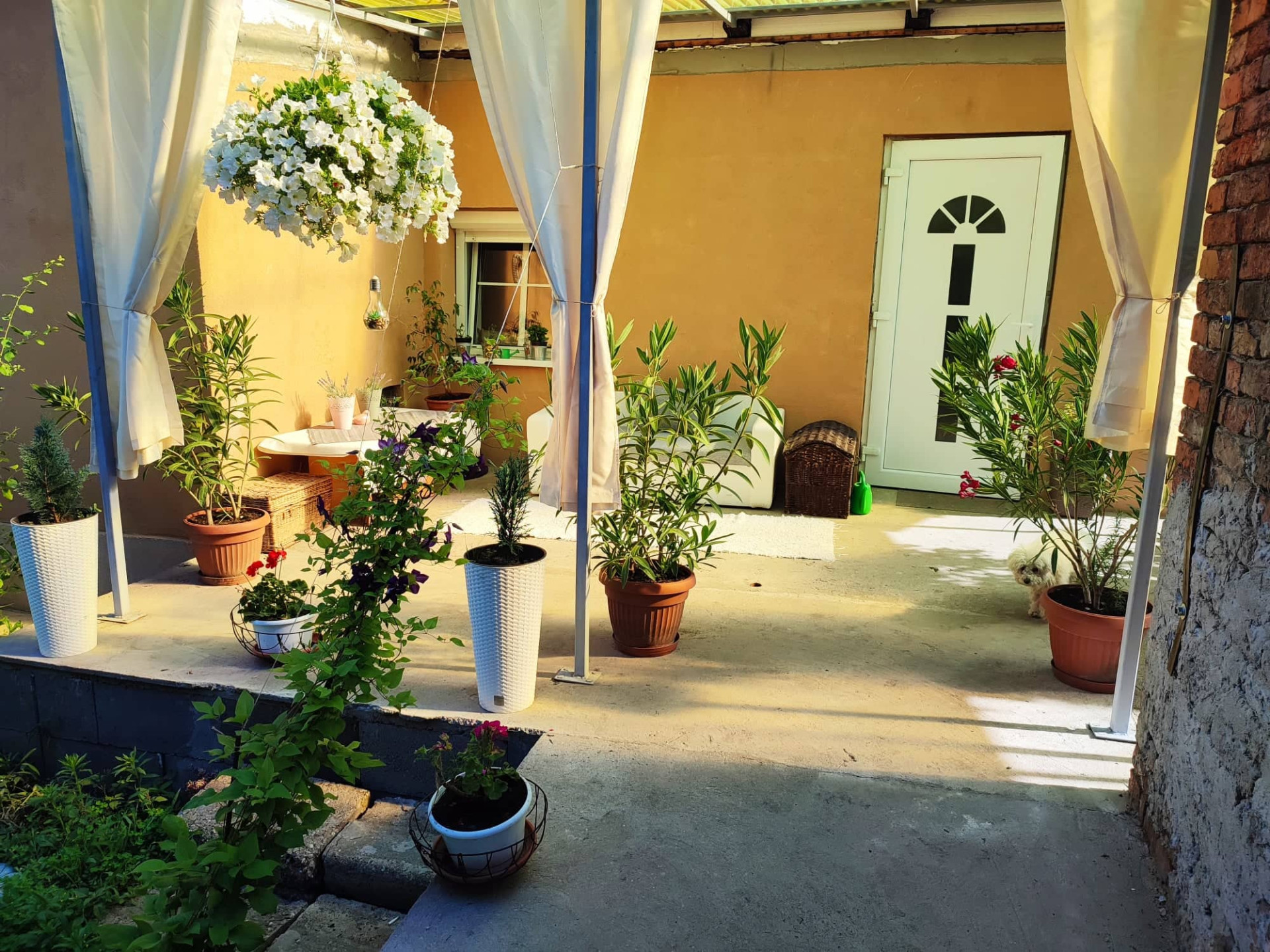 Szolnok Eladó  Lakás  Szolnok Eladó  Lakás Jász-Nagykun-Szolnok megye 