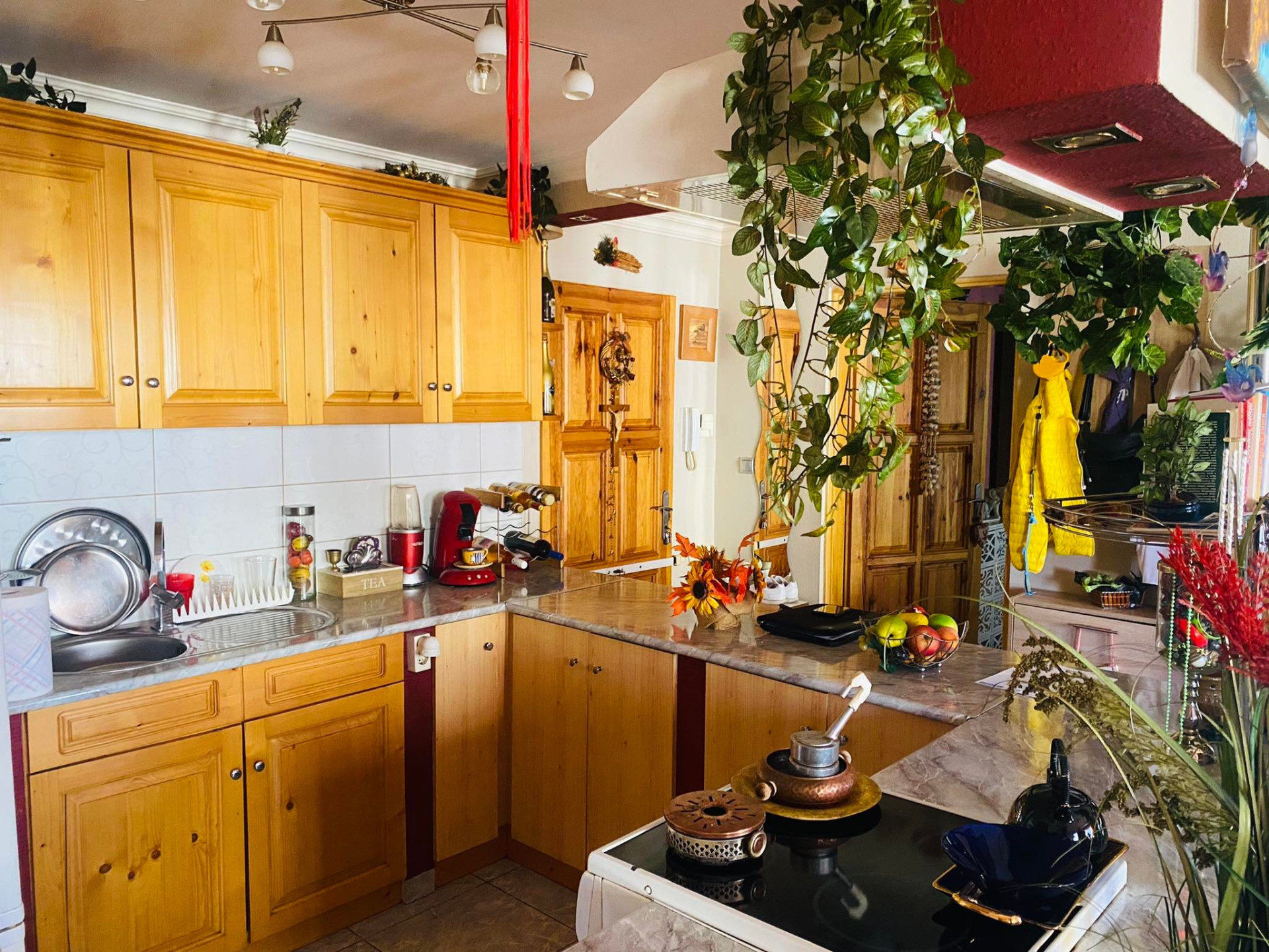 Szolnok Eladó  Lakás  Szolnok Eladó  Lakás Jász-Nagykun-Szolnok megye 