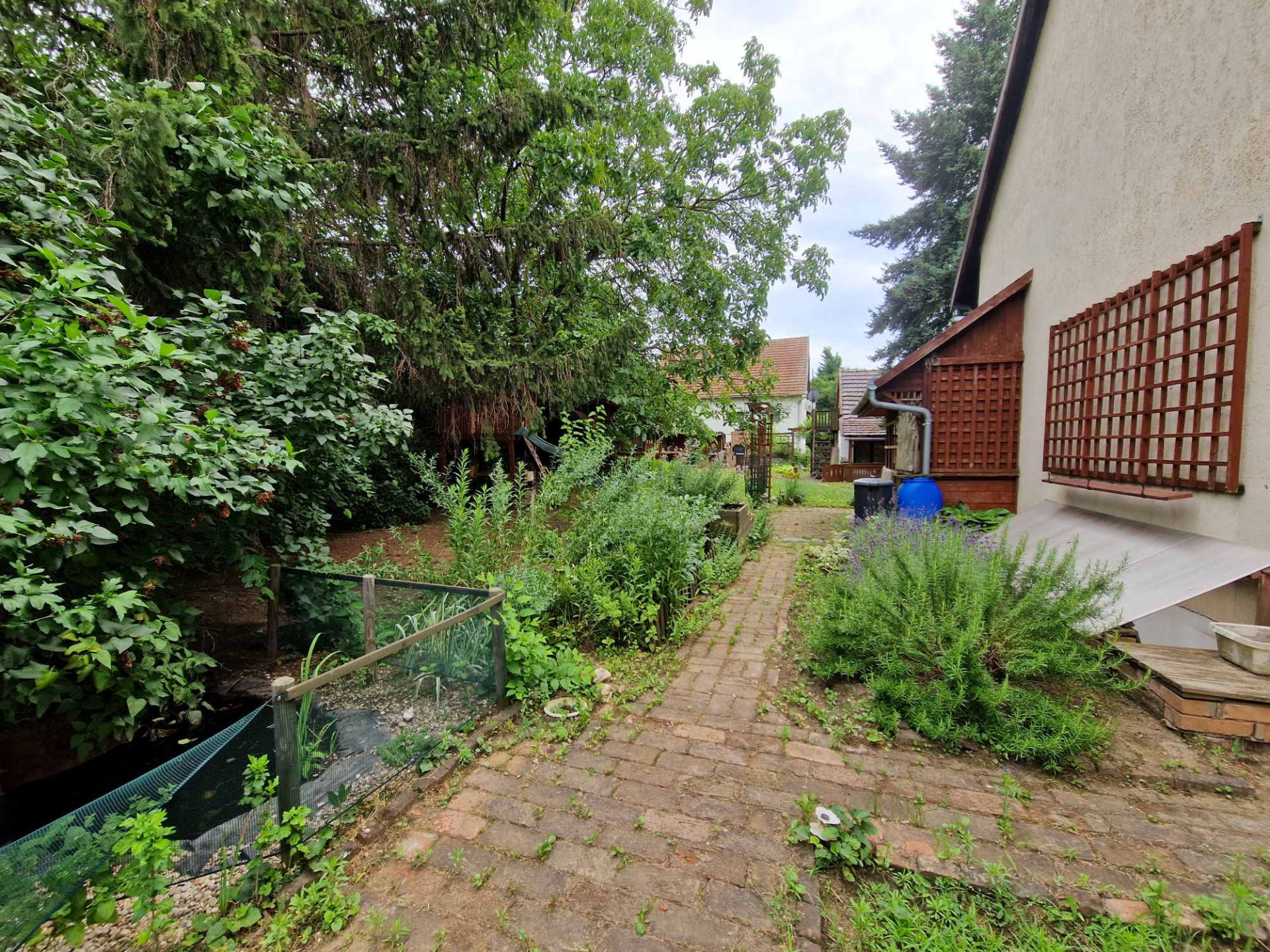 Szolnok Eladó  Lakás  Szolnok Eladó  Lakás Jász-Nagykun-Szolnok megye 