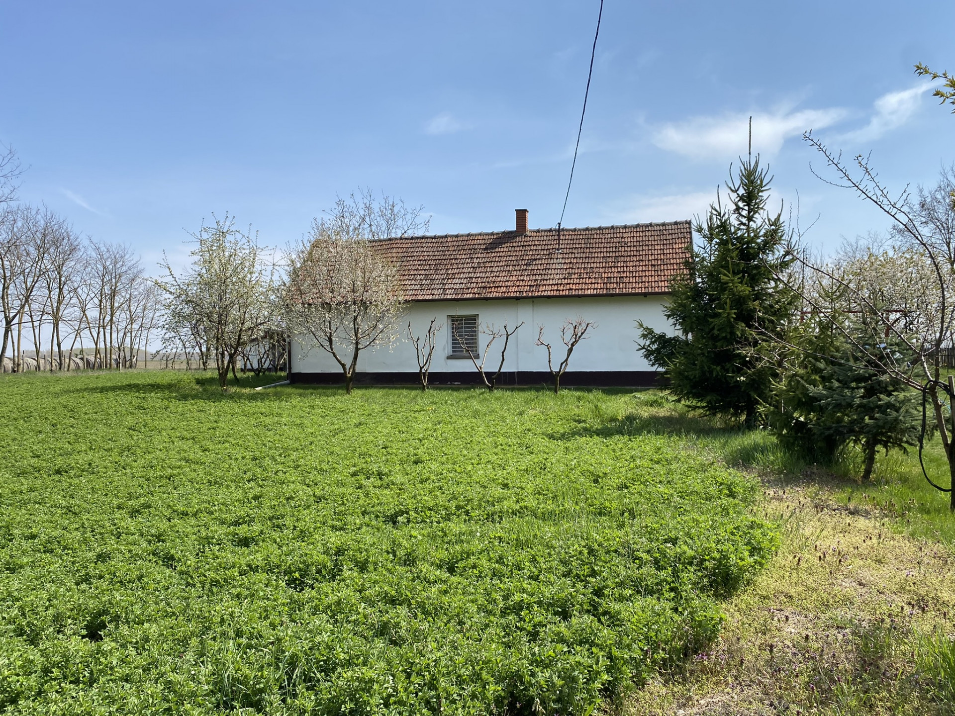 Kisszállás Eladó Családi ház