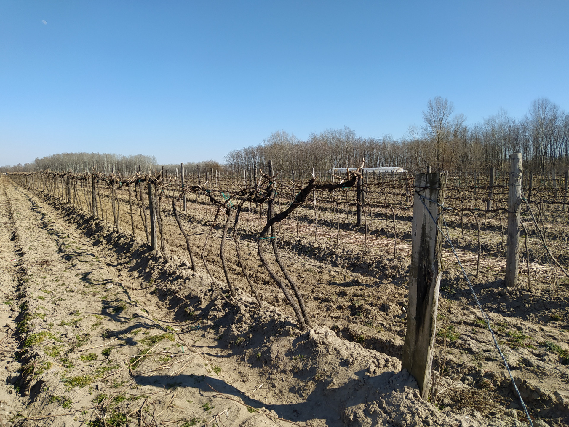Kiskőrös Eladó  Családi ház  Kiskőrös Eladó  Családi ház Bács-Kiskun megye 