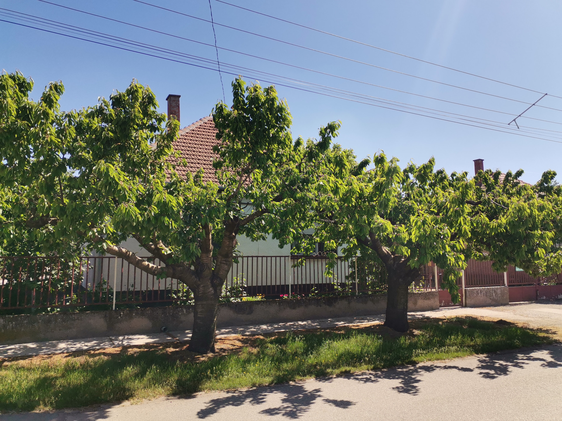 Kisszállás Eladó  Családi ház  Kisszállás Eladó  Családi ház Bács-Kiskun megye 