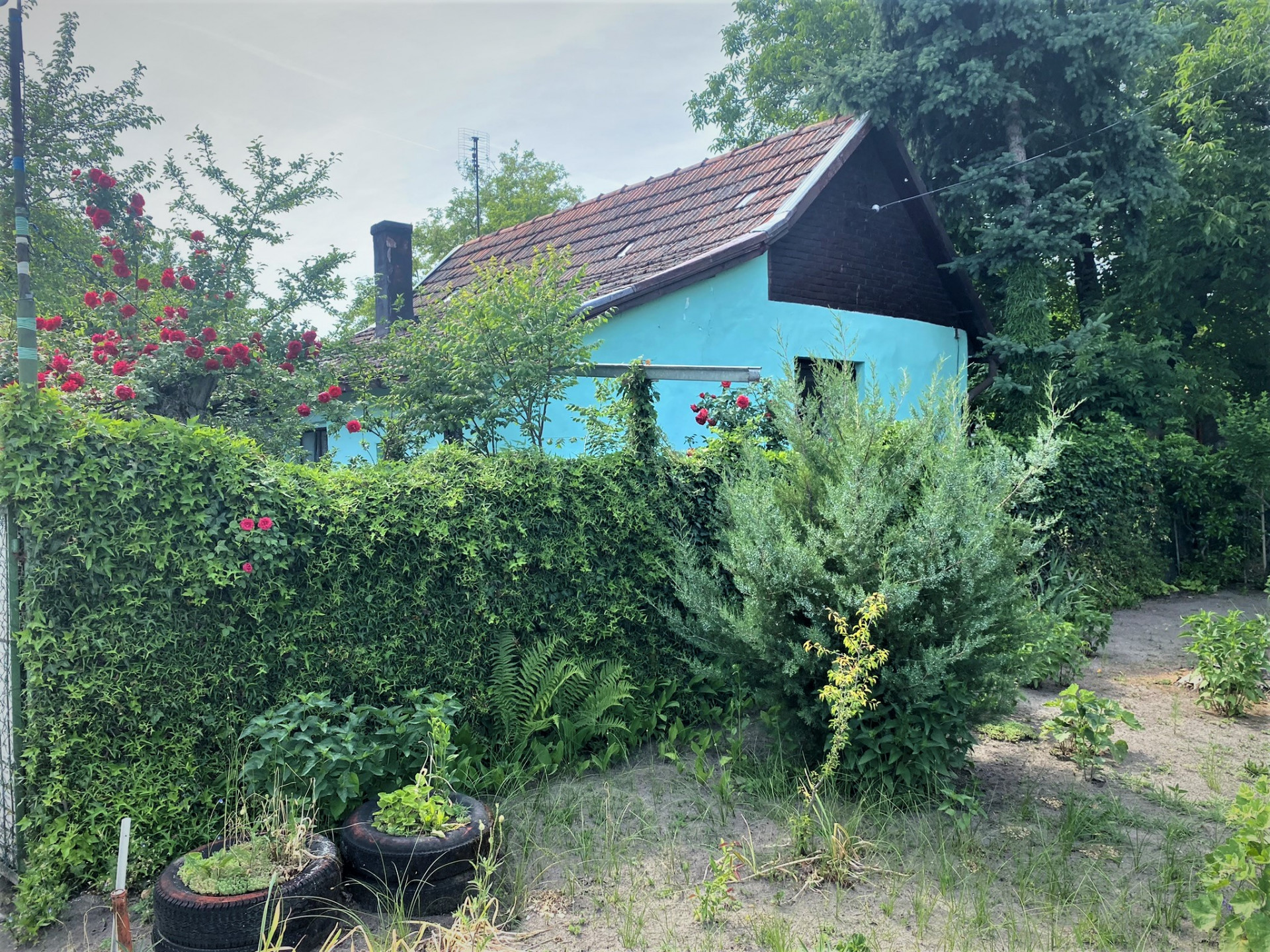 Kelebia Eladó Családi ház 