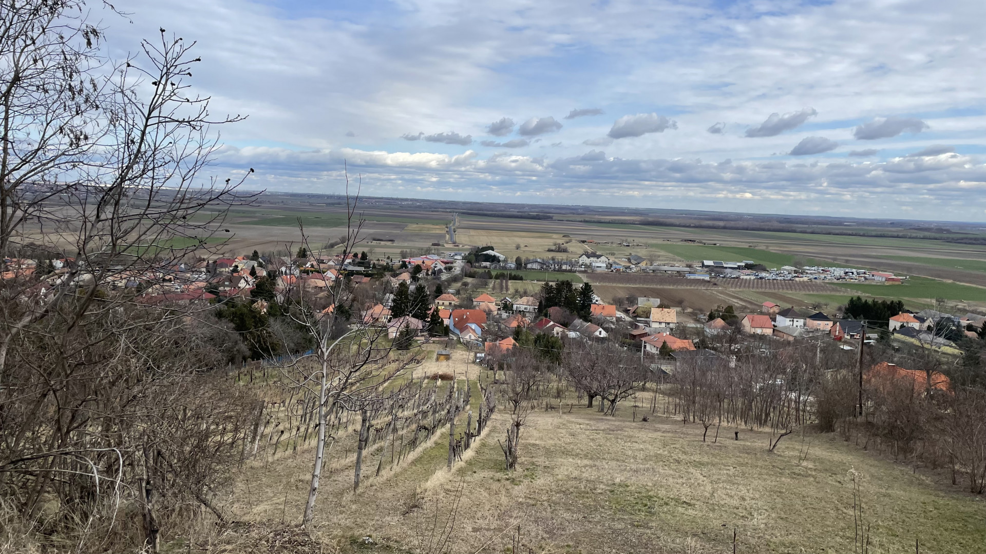 Eladó  Telek/földterület Győrújbarát  10 000 000 , # 1513