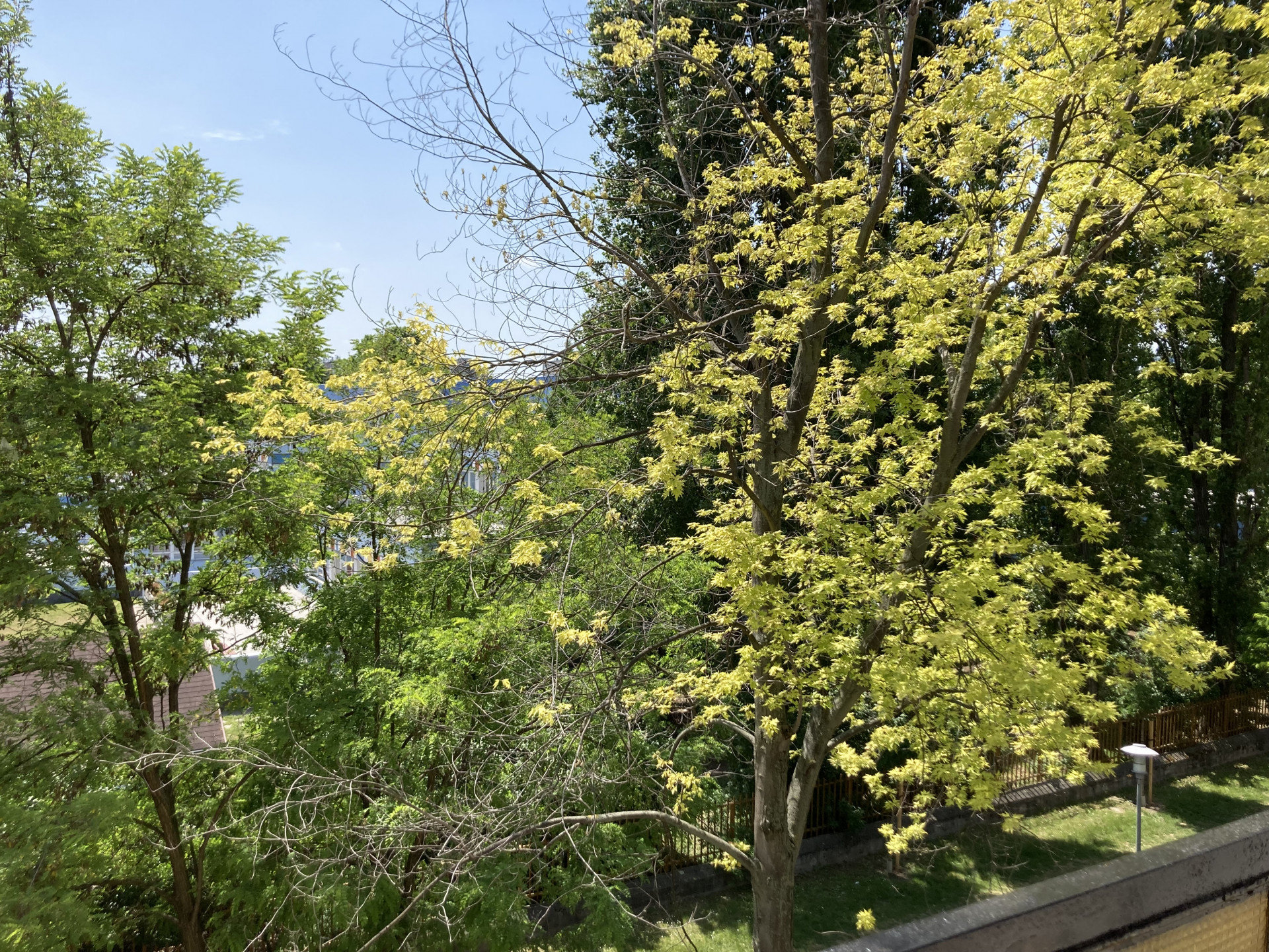 Győr Eladó  Lakás  Győr Eladó  Lakás Győr-Moson-Sopron megye 