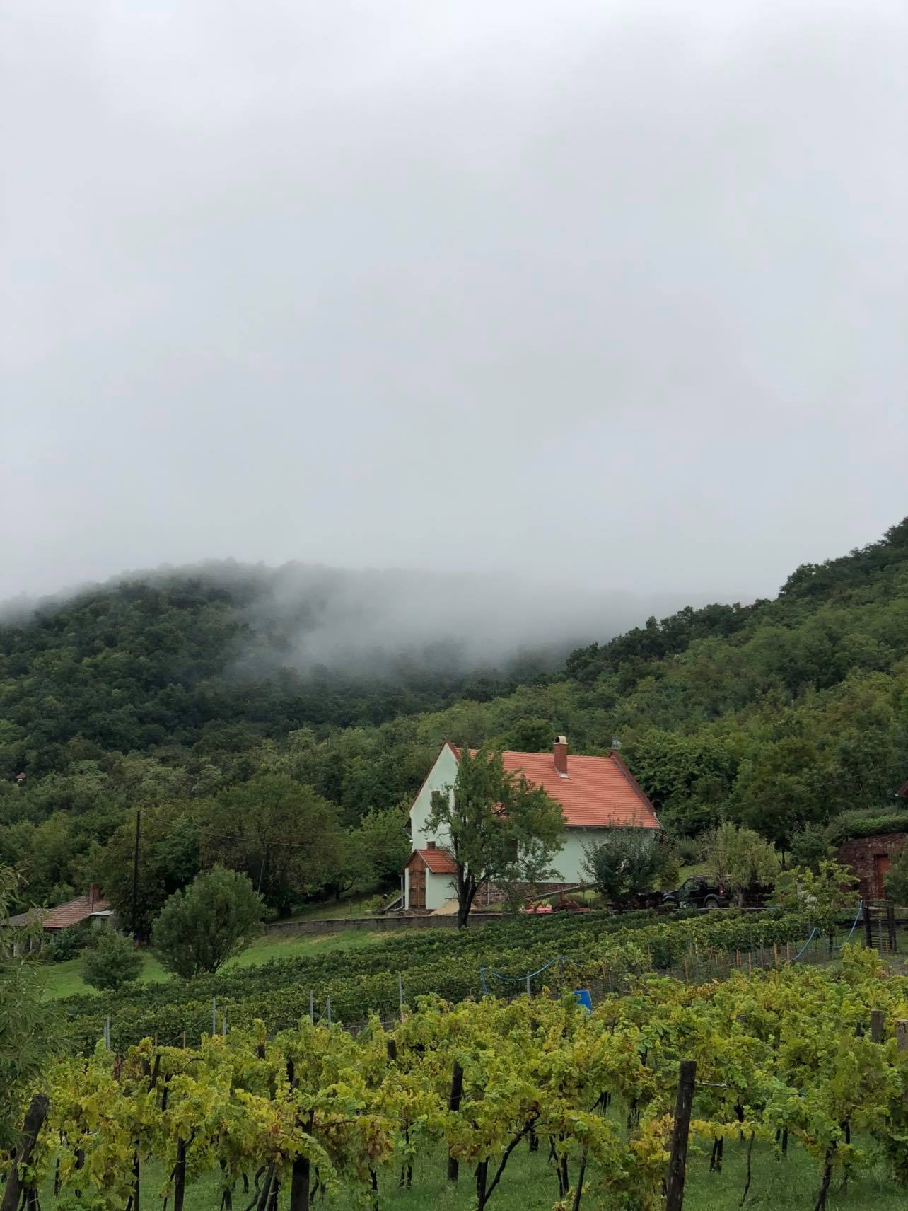 Szentbékkálla Eladó  Családi ház  Szentbékkálla Eladó  Családi ház Veszprém megye 