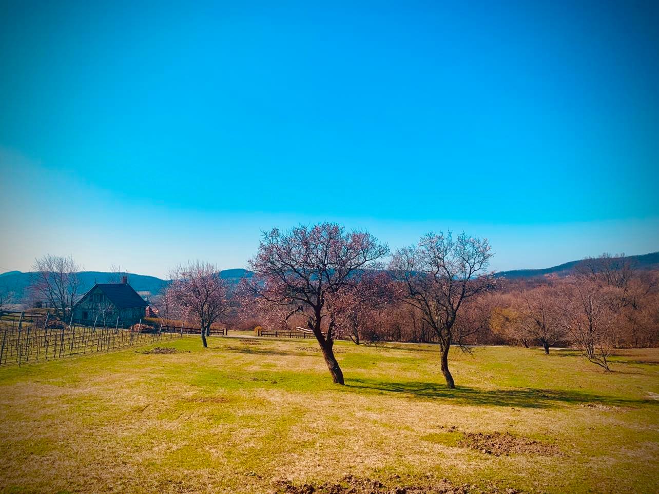 Szentbékkálla Eladó  Családi ház  Szentbékkálla Eladó  Családi ház Veszprém megye 