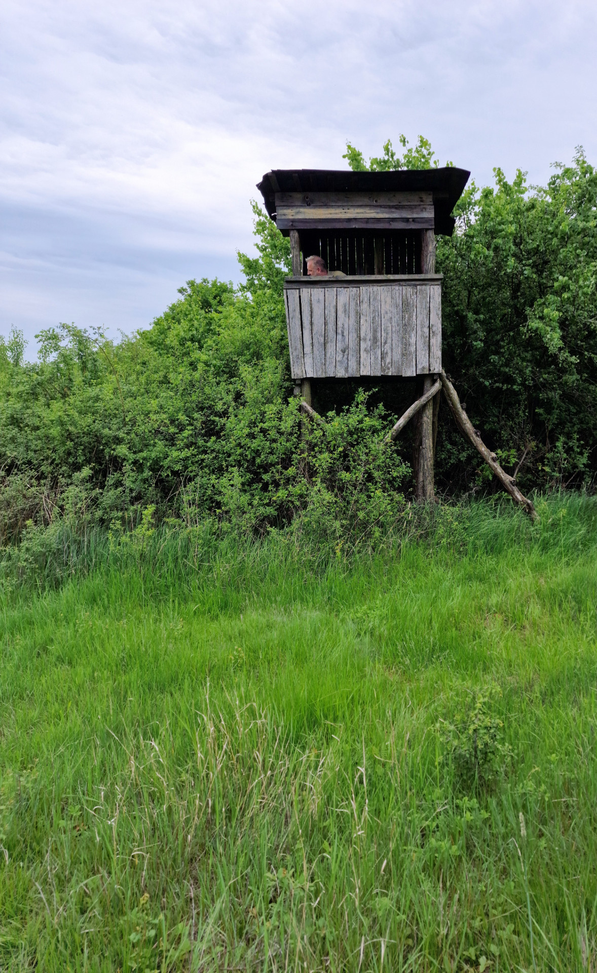 Acsa Kiadó  Üdülő/nyaraló  Acsa Kiadó  Üdülő/nyaraló Pest megye 