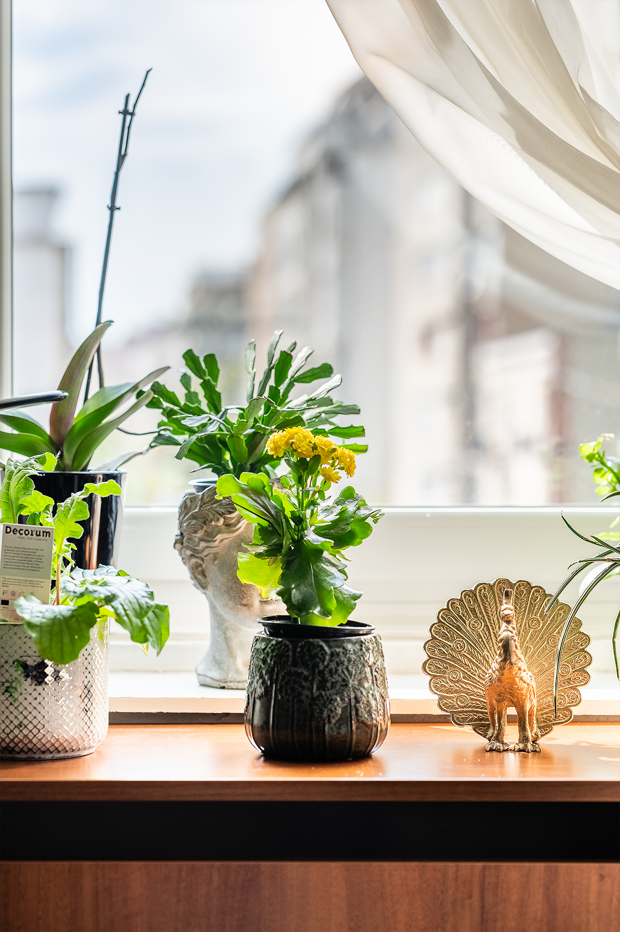 Budapest Eladó  Lakás  Budapest Eladó  Lakás  