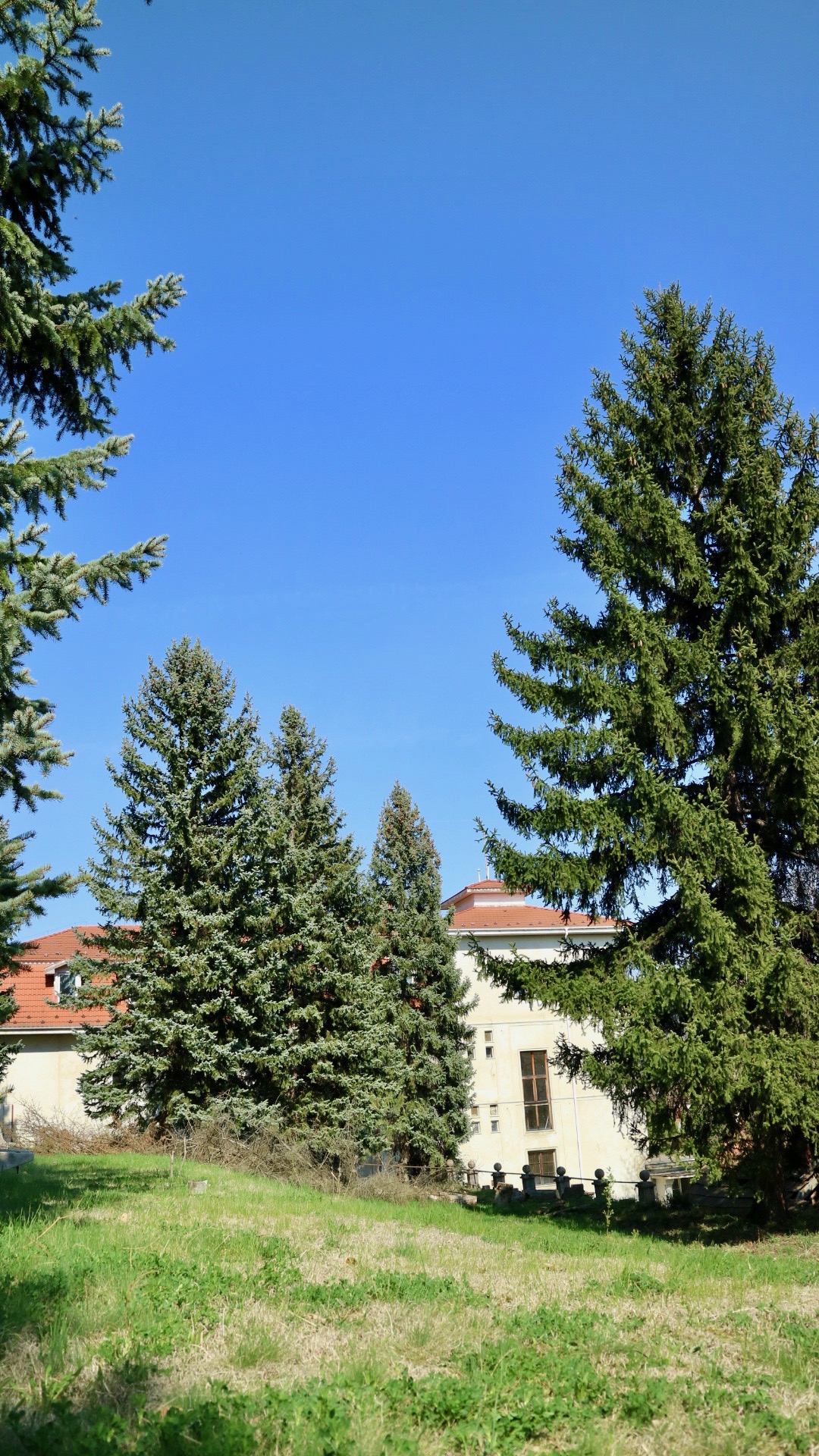 Nagymaros Eladó  Családi ház  Nagymaros Eladó  Családi ház Pest megye 