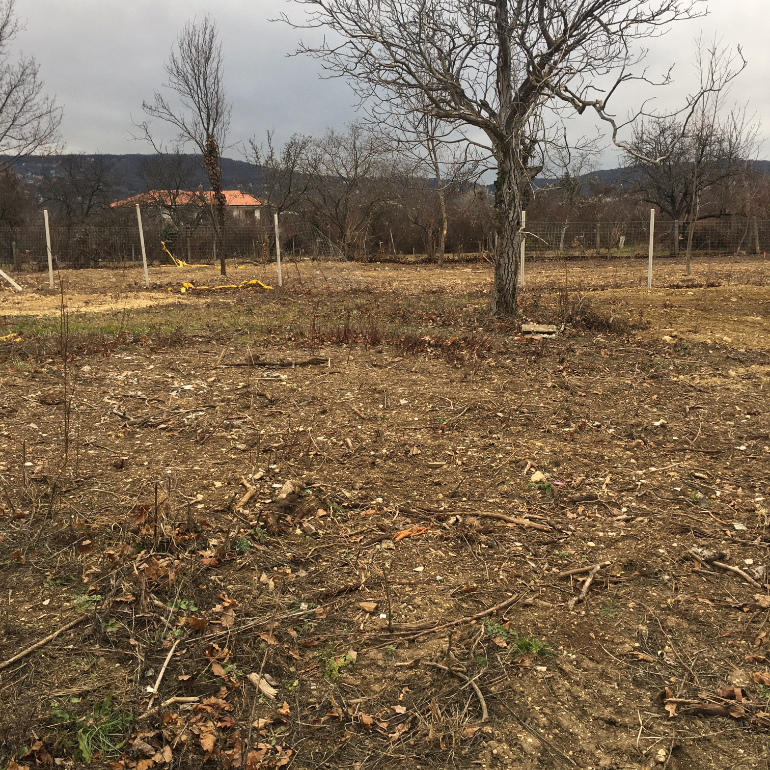 Budapest Eladó  Telek/földterület  Budapest Eladó  Telek/földterület  