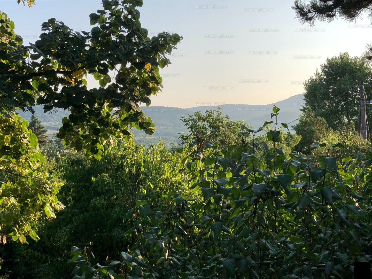 Szentendre Eladó Telek/földterület