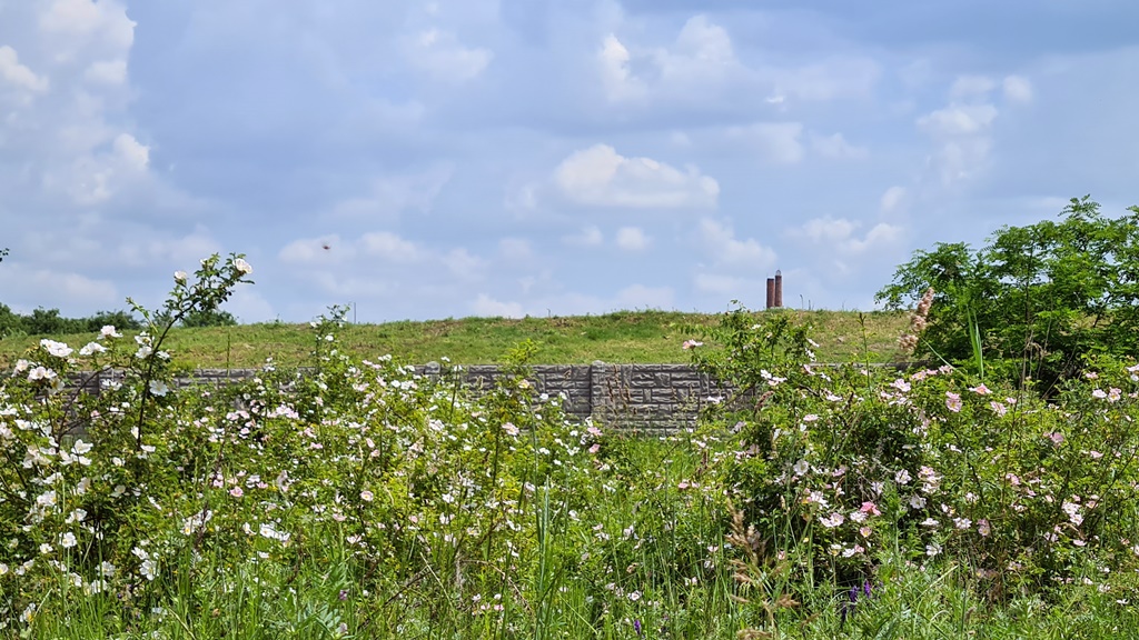 Budapest Eladó  Telek/földterület  Budapest Eladó  Telek/földterület  