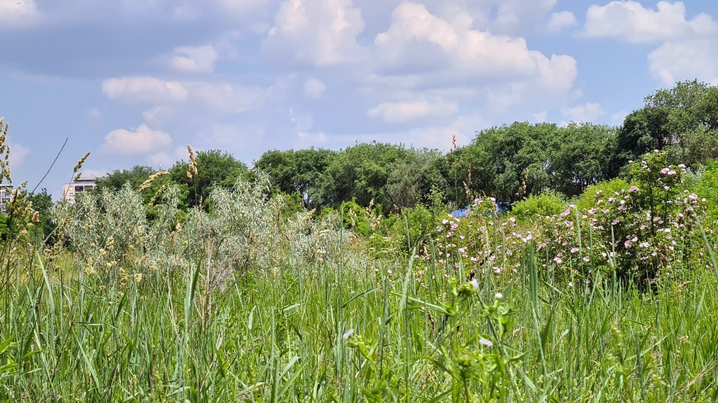 Budapest Eladó  Telek/földterület  Budapest Eladó  Telek/földterület  
