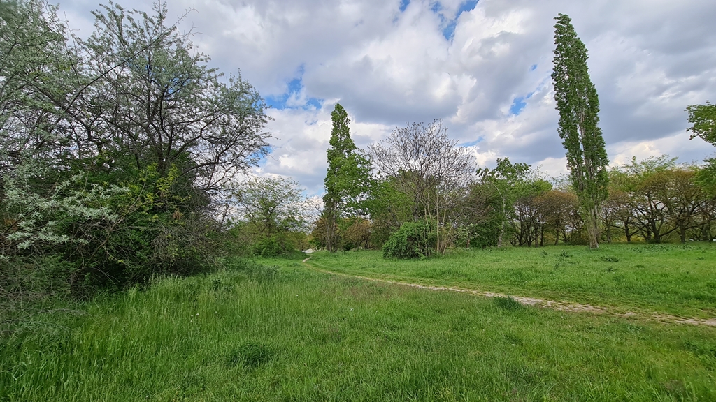 Budapest Eladó  Telek/földterület  Budapest Eladó  Telek/földterület  