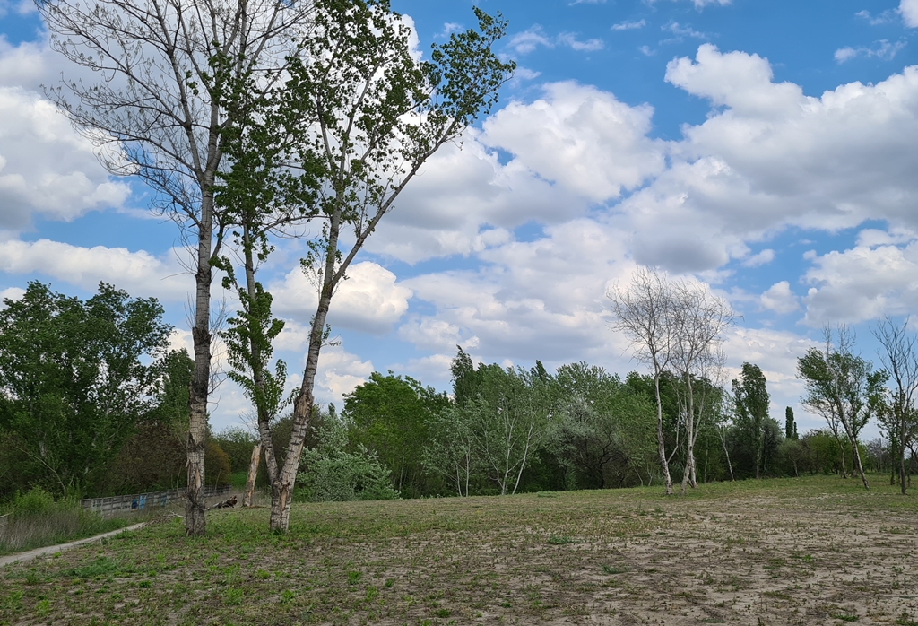 Budapest Eladó  Telek/földterület  Budapest Eladó  Telek/földterület  