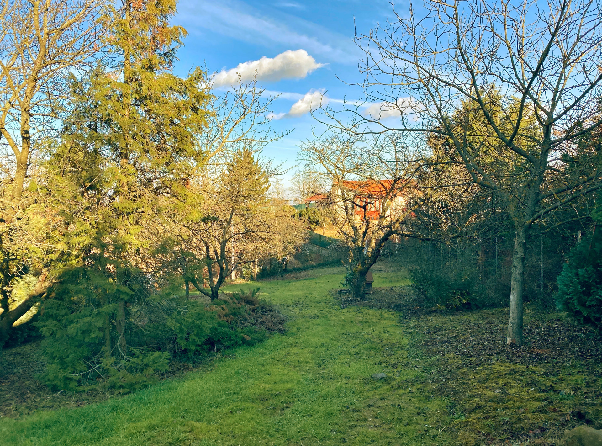 Törökbálint Eladó  Telek/földterület  Törökbálint Eladó  Telek/földterület Pest megye 
