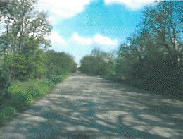 Budapest Eladó  Telek/földterület  Budapest Eladó  Telek/földterület  