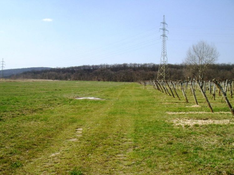 Budakeszi Eladó Telek/földterület