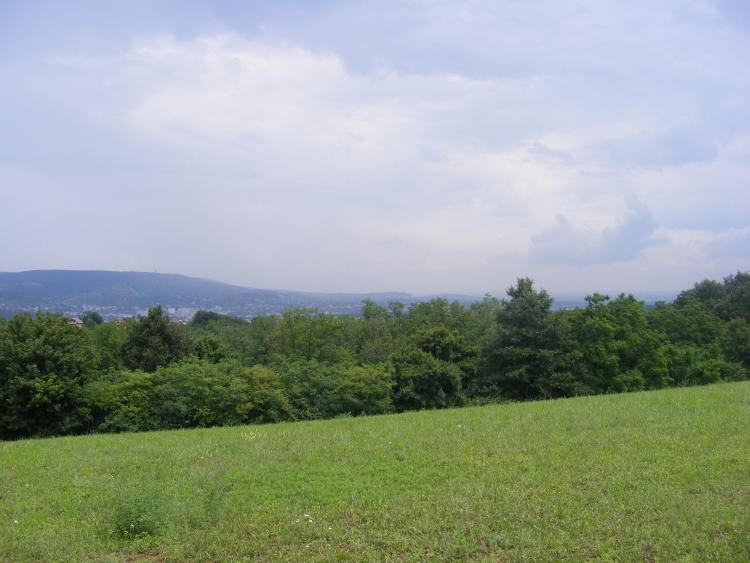 Törökbálint Eladó  Telek/földterület  Törökbálint Eladó  Telek/földterület Pest megye 