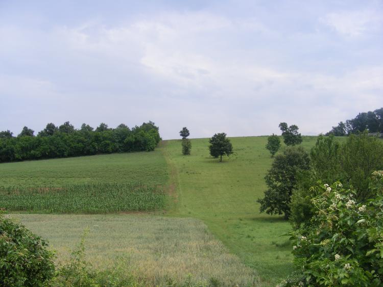 Törökbálint Eladó  Telek/földterület  Törökbálint Eladó  Telek/földterület Pest megye 