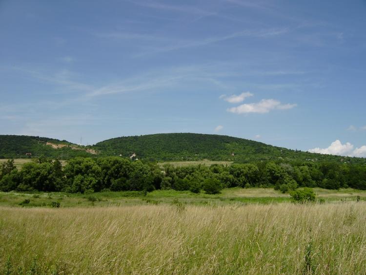 Budakeszi Eladó Telek/földterület