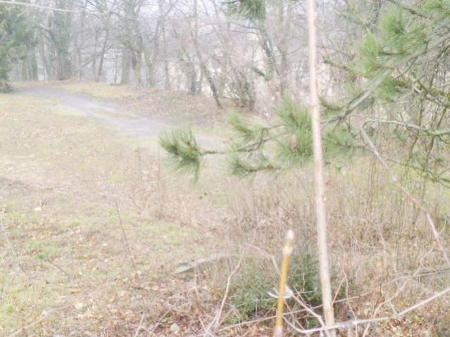 Budapest Eladó  Telek/földterület  Budapest Eladó  Telek/földterület  