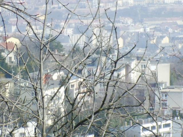 Budapest Eladó Telek/földterület 