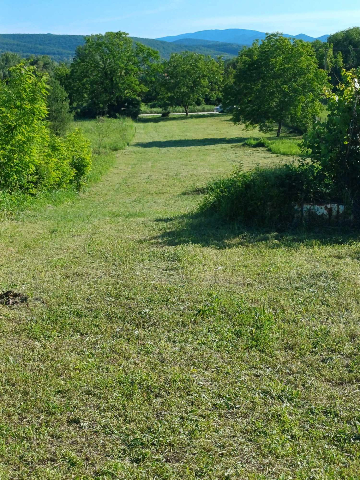 Esztergom Eladó  Lakás  Esztergom Eladó  Lakás Komárom-Esztergom megye 