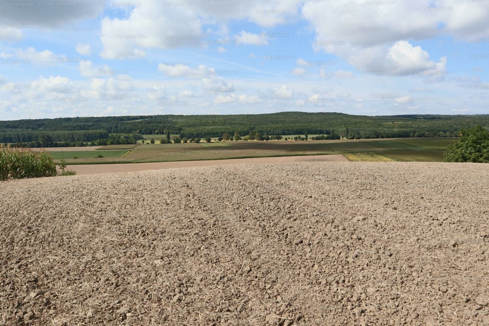 Sokorópátka Eladó  Telek/földterület  Sokorópátka Eladó  Telek/földterület Győr-Moson-Sopron megye 