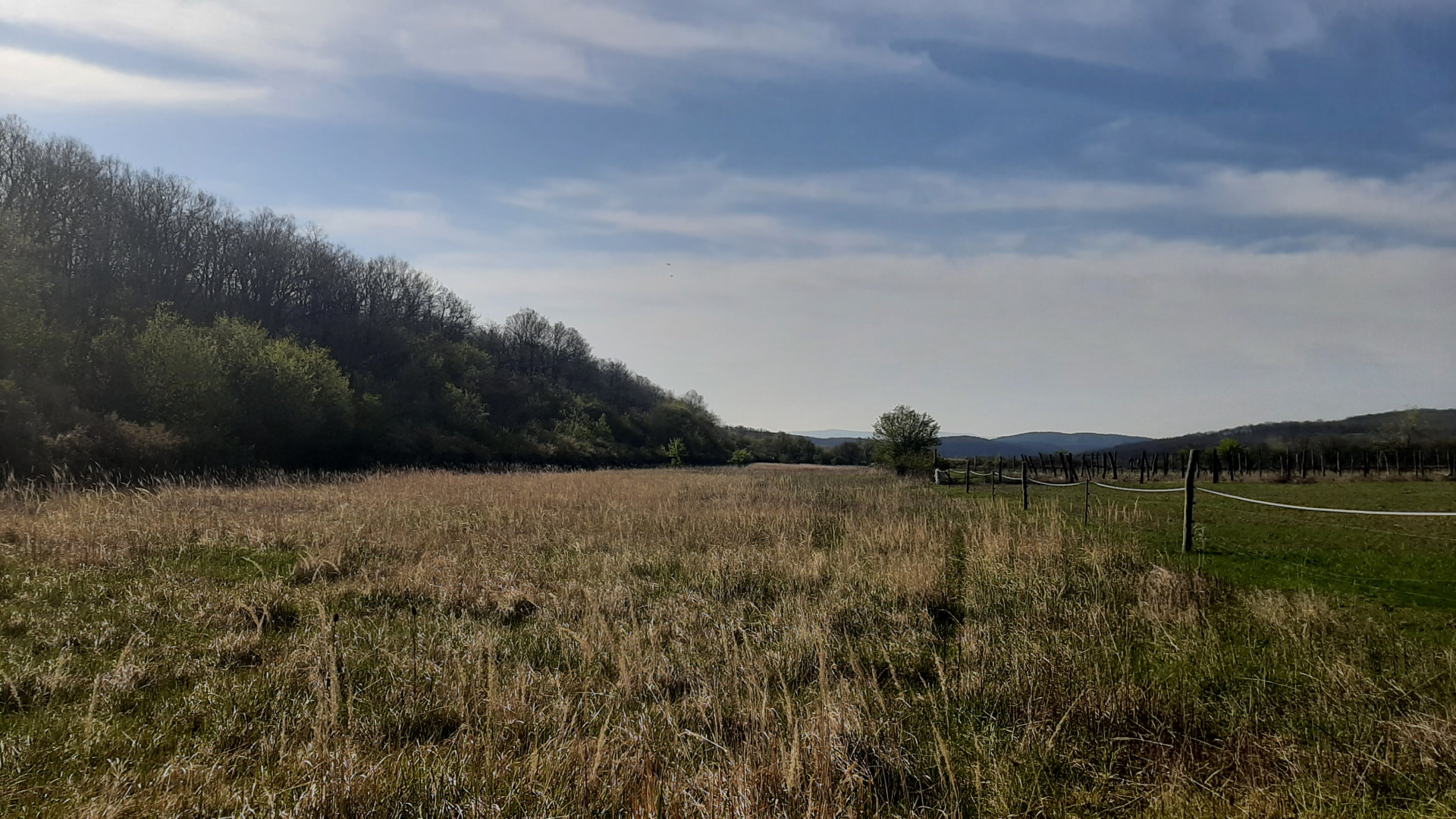 Balatonszőlős Telek/földterület Eladó