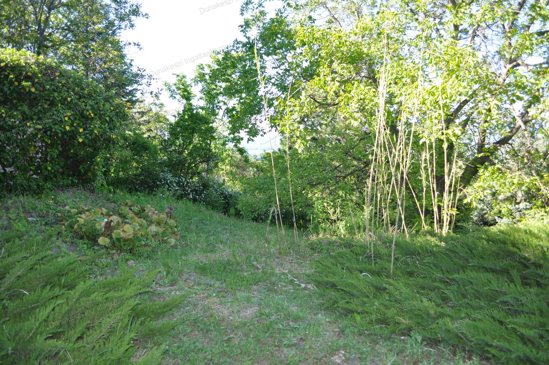 Tahitótfalu Eladó Telek/földterület 