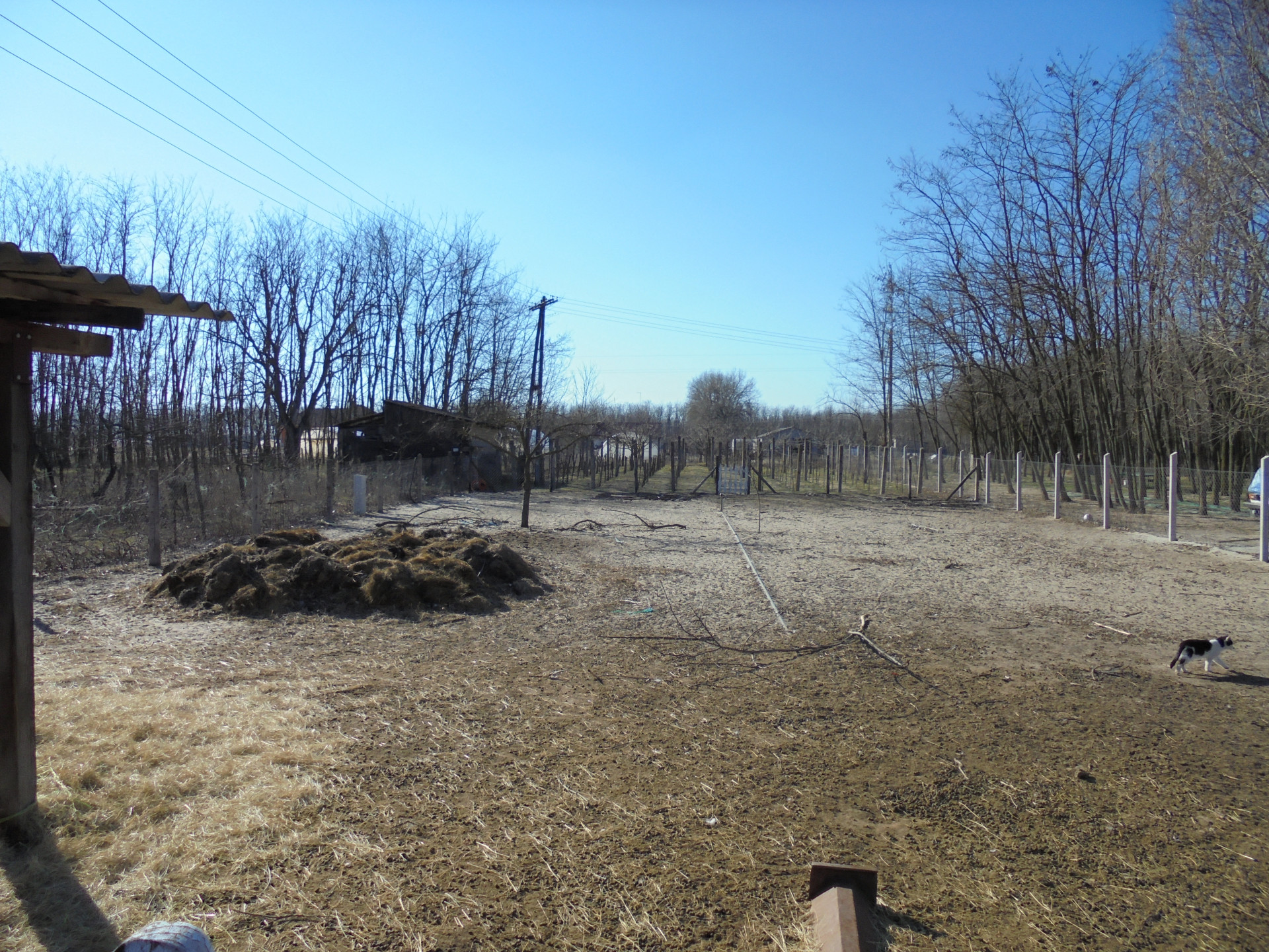 Nagykőrös Eladó  Családi ház  Nagykőrös Eladó  Családi ház Pest megye 