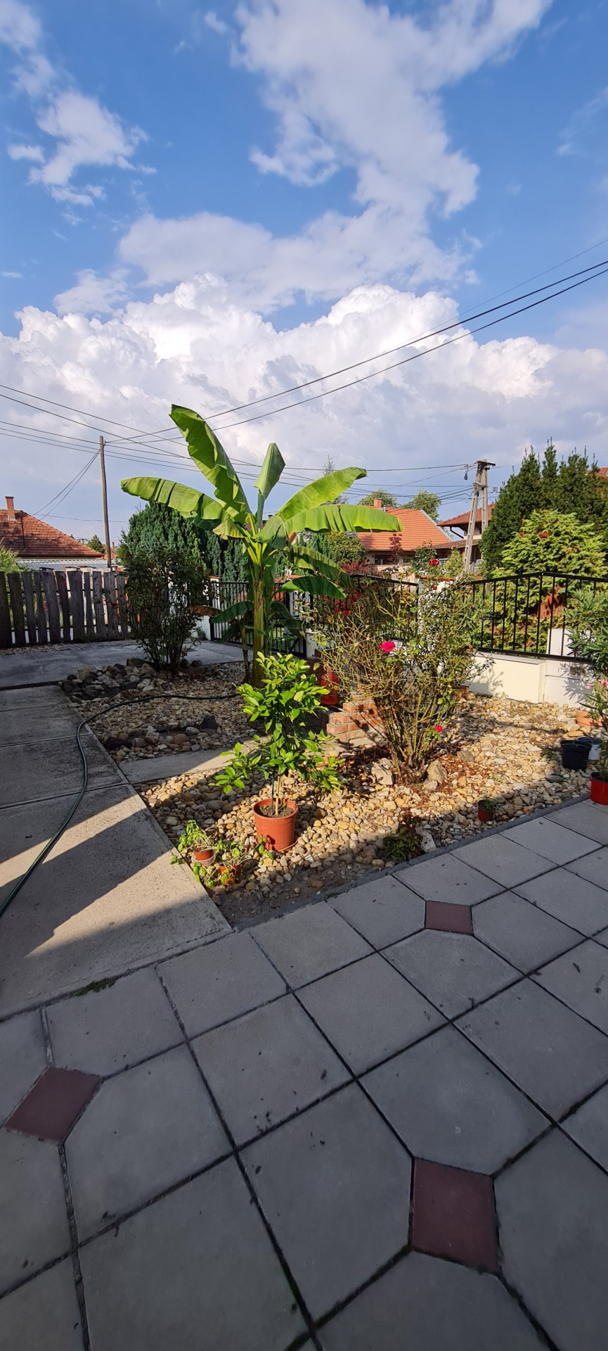 Cegléd Eladó  Családi ház  Cegléd Eladó  Családi ház Pest megye 