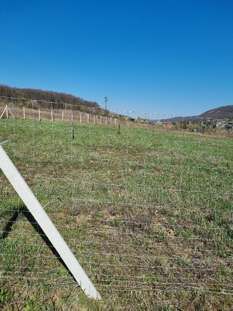 Budapest Eladó  Családi ház  Budapest Eladó  Családi ház  