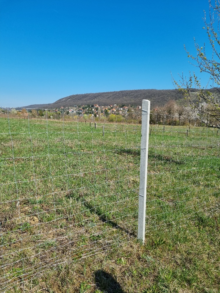 Budapest Eladó  Családi ház  Budapest Eladó  Családi ház  