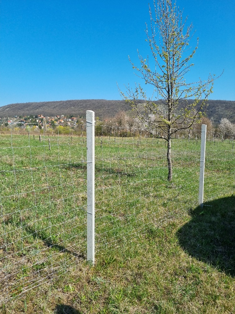 Budapest Eladó  Családi ház  Budapest Eladó  Családi ház  