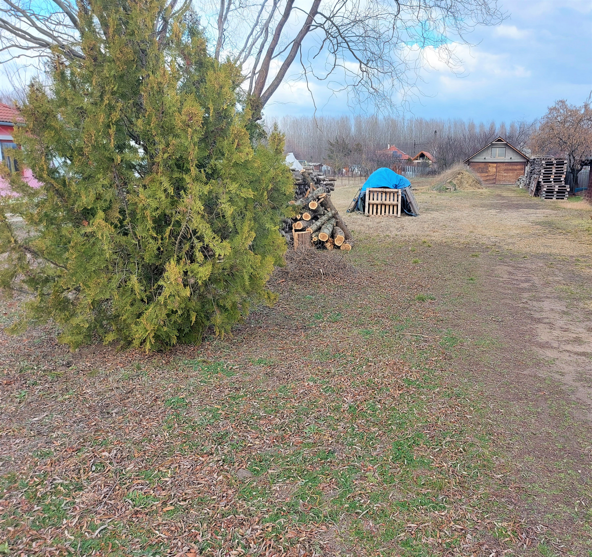 Tápiószele Eladó  Telek/földterület  Tápiószele Eladó  Telek/földterület Pest megye 