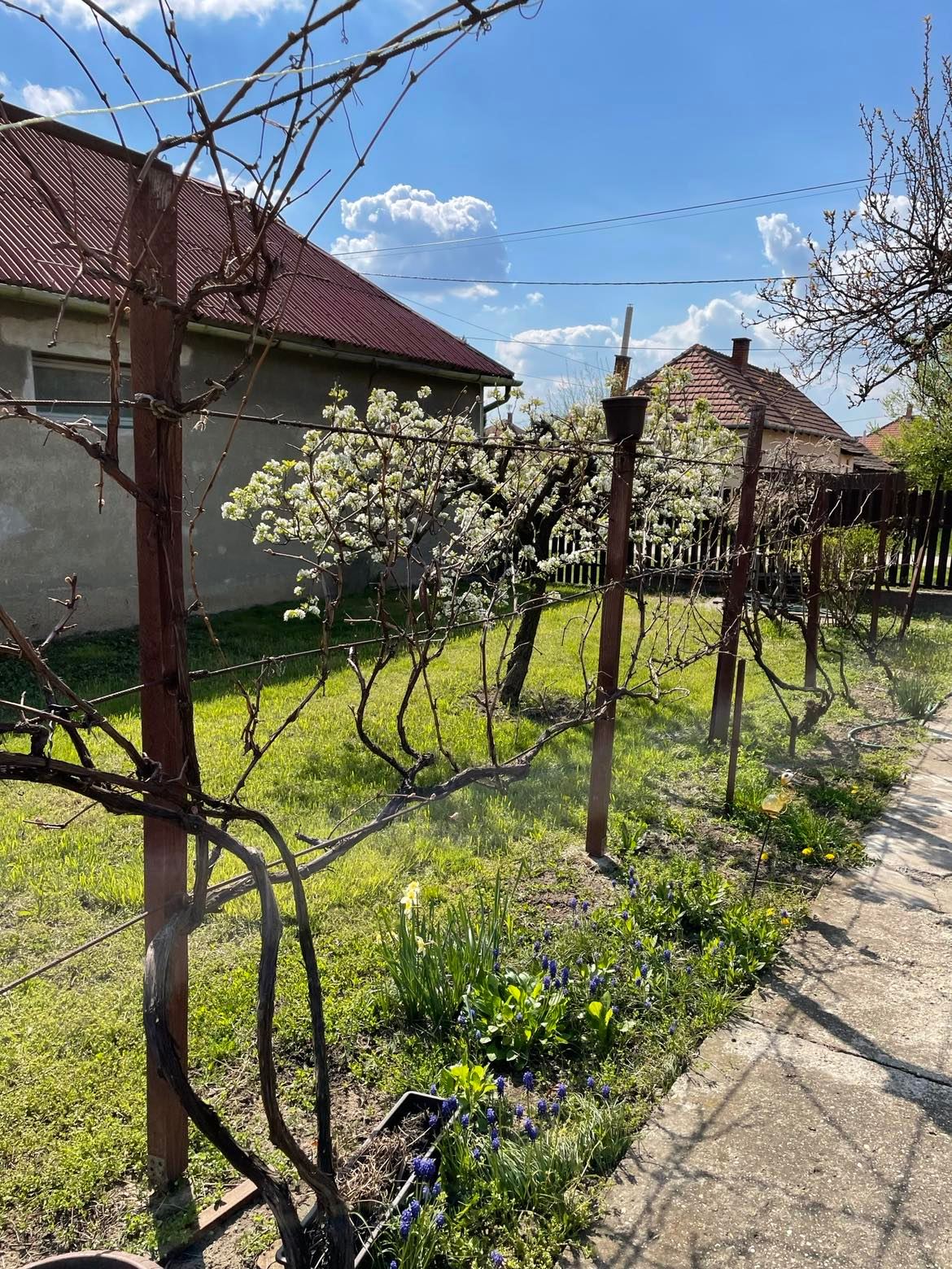 Szajol Családi ház Eladó